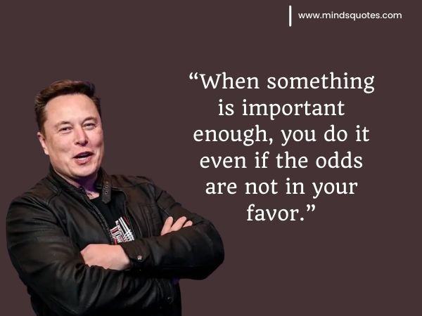 Quotes About Elon Musk