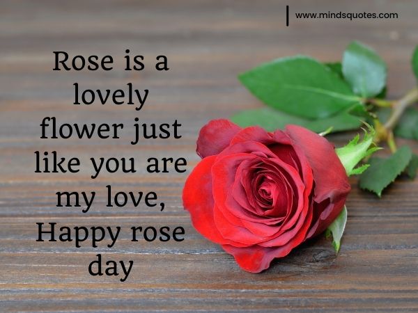 romantic rose day images