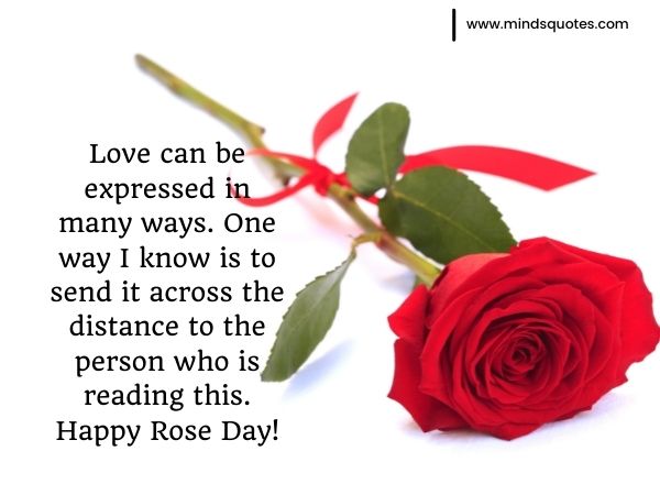 rose day quotes