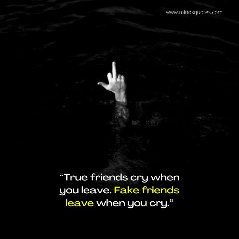 Savage Attitude Quotes for Fake Friends 