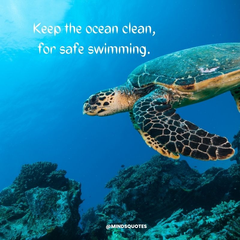 Happy World Ocean Day Slogans 2023