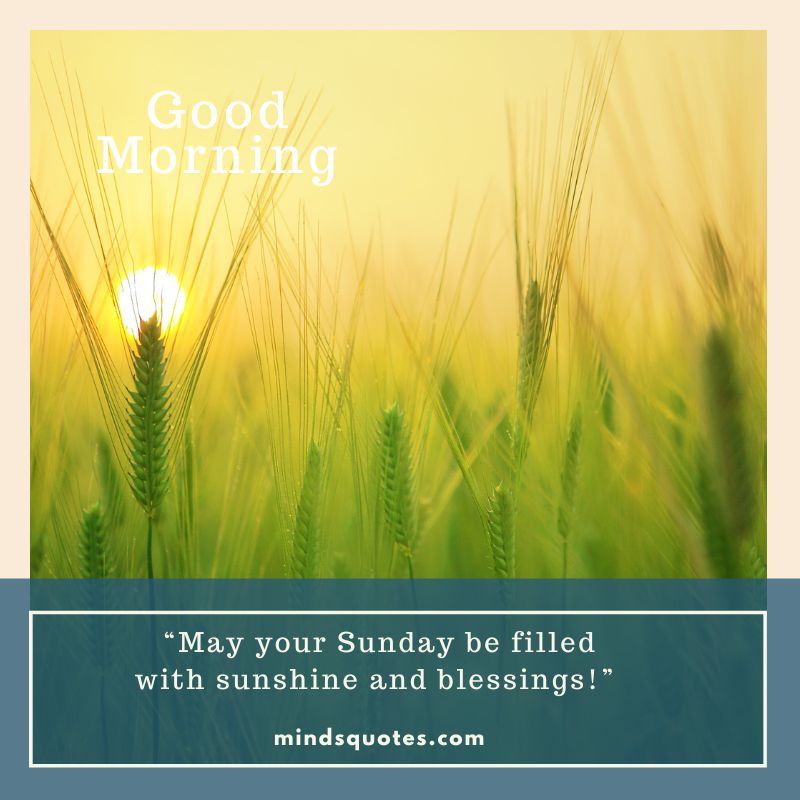 Positive Sunday blessings Morning Quotes