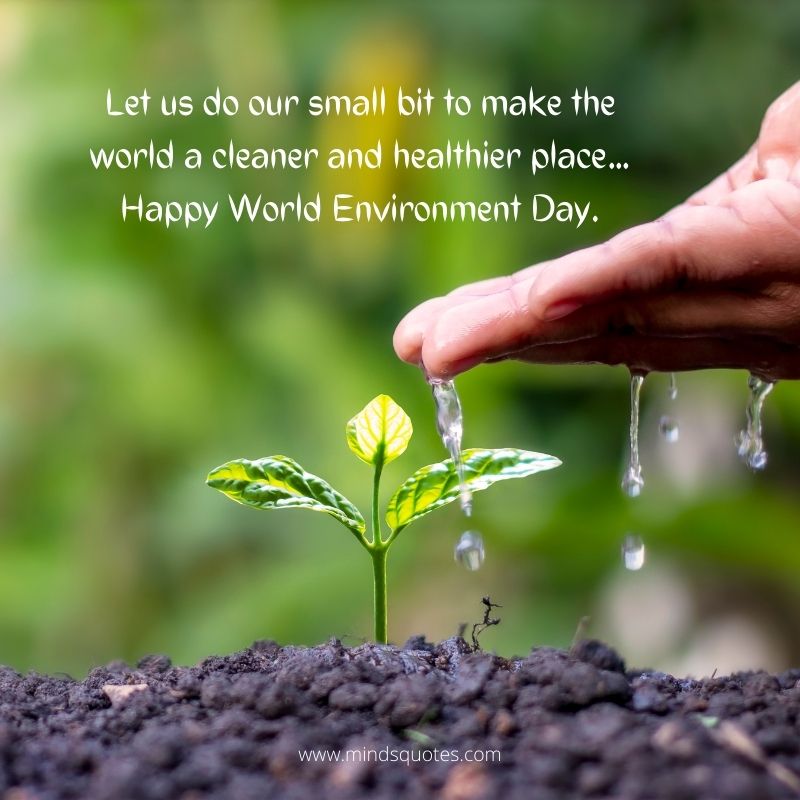 World Environment Day Slogans