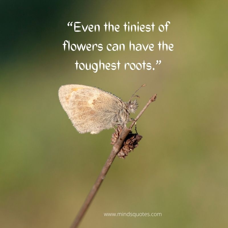 flower images with quotes