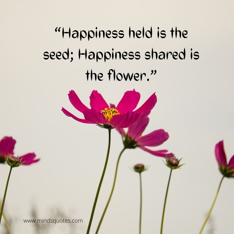 flowers make me happy quotes