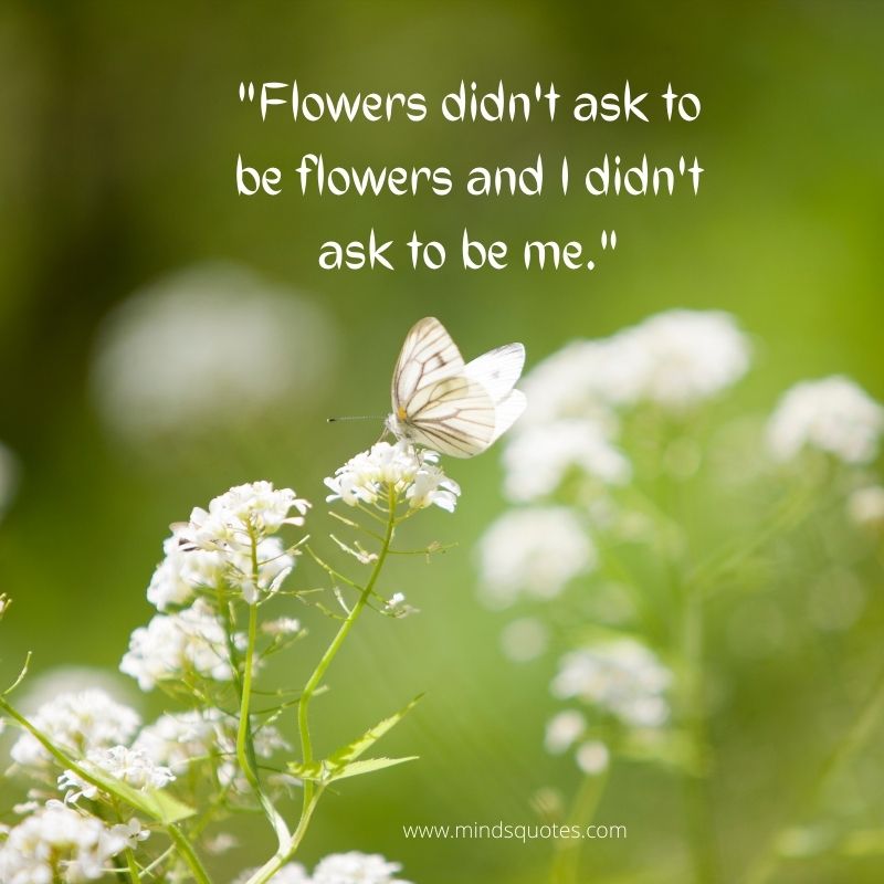 sad flower quotes