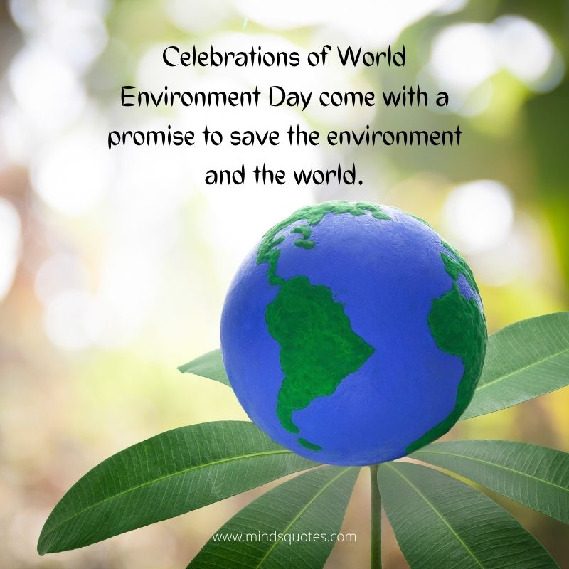 world environment day is celebrated on 5 June