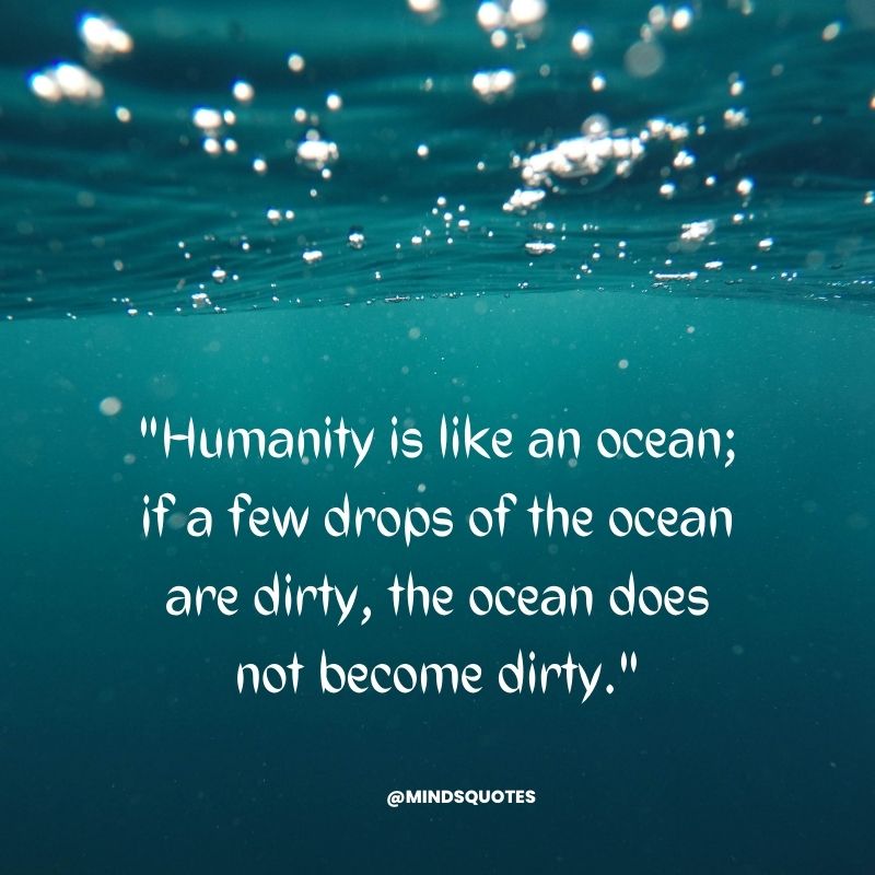 World Ocean Day 2023 Quotes