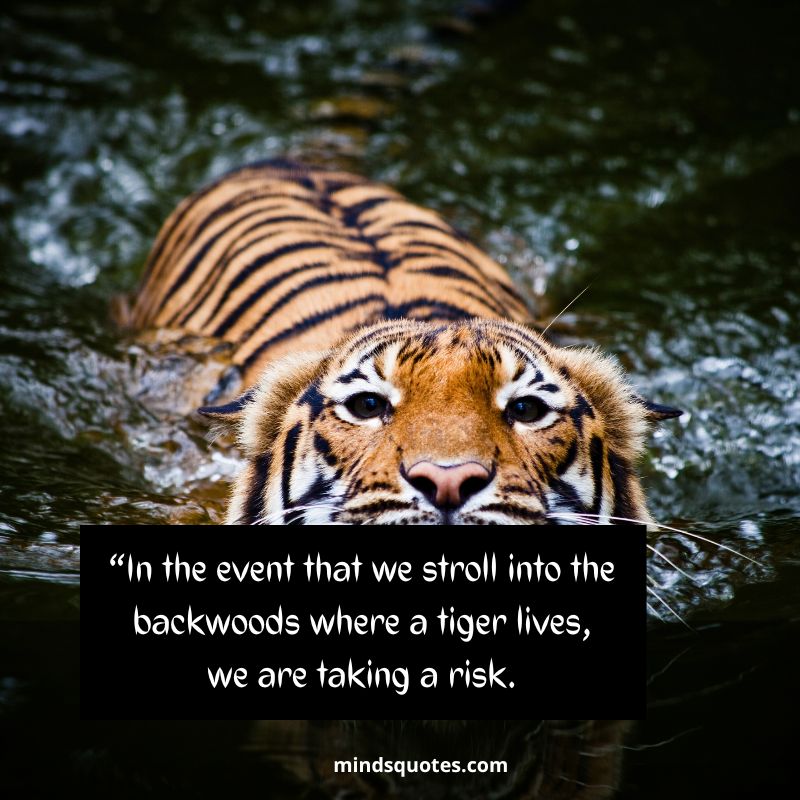 Happy International Tiger Day Message 