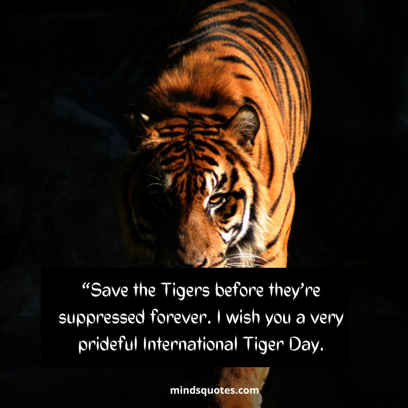 Happy International Tiger Day Wishes 