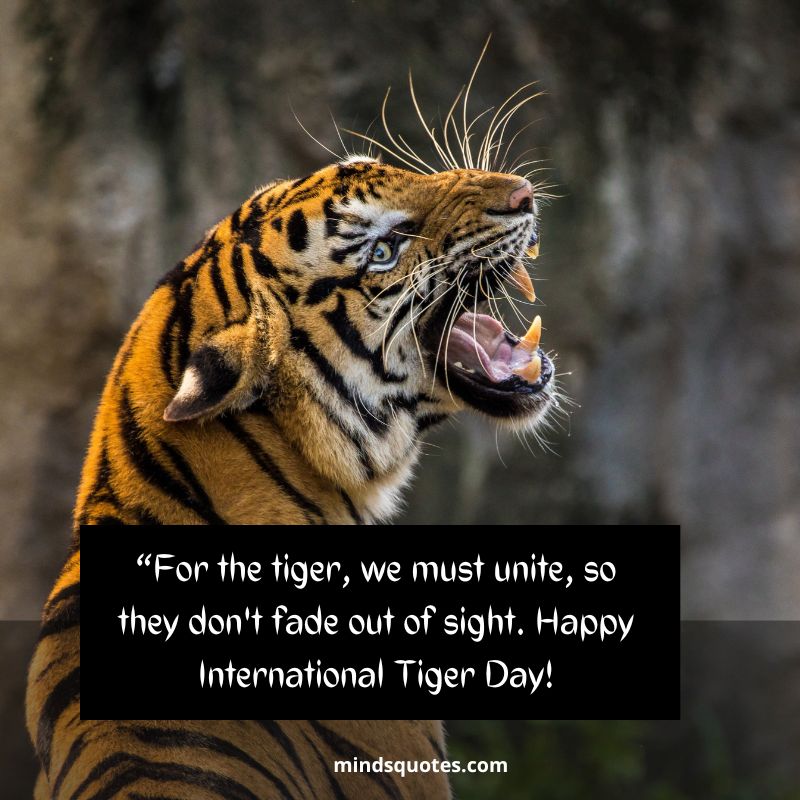 Happy International Tiger Day Wishes 2022