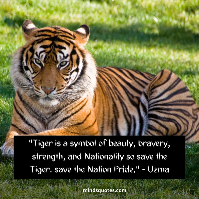 International Tiger Day Quotes in English