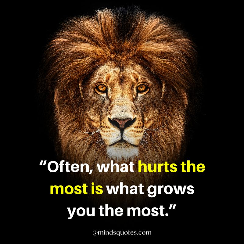 Savage Lion Quotes