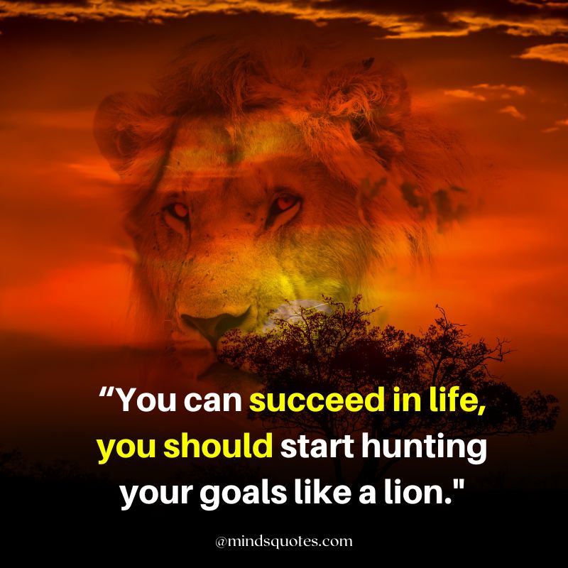 Success Lion Quotes for Whatsapp