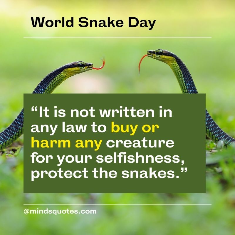 World Snake Day Message in English