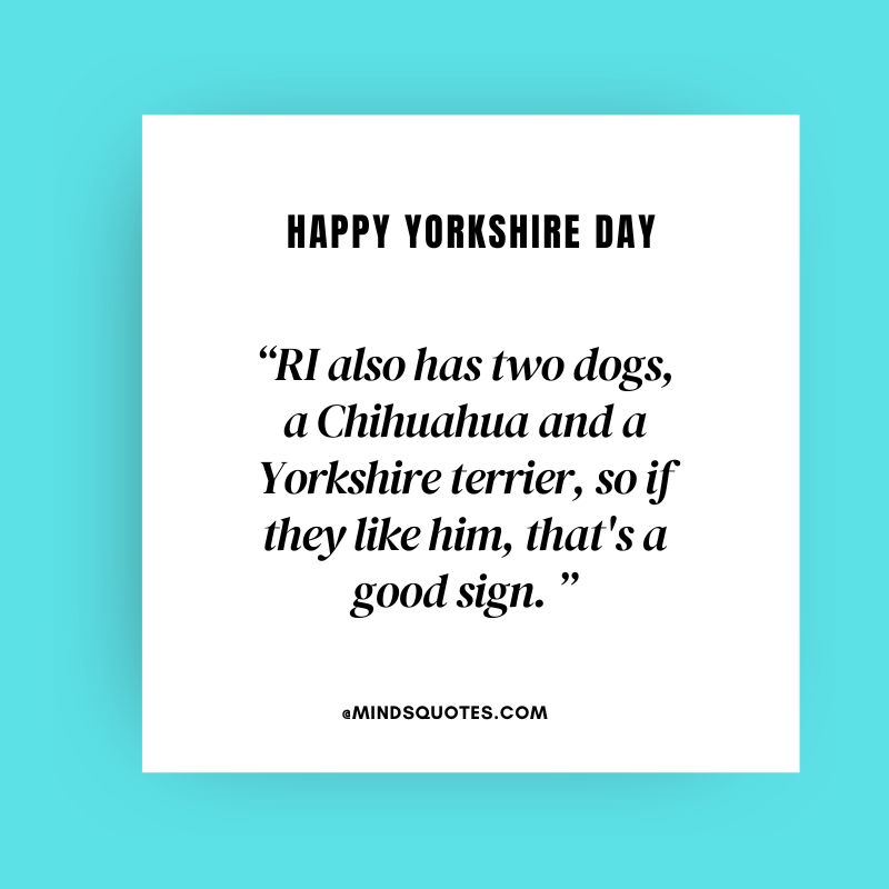 Yorkshire Day Message