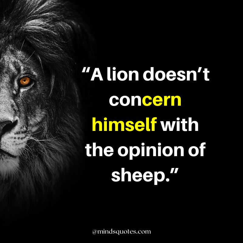 attitude powerful lion quotes