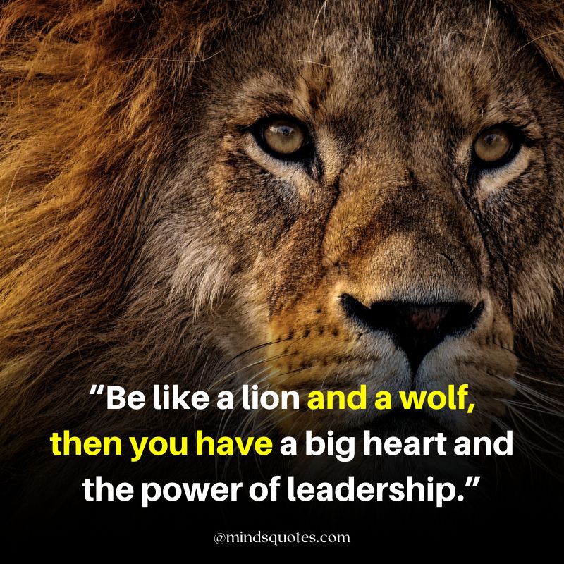 inspirational strength lion quotes