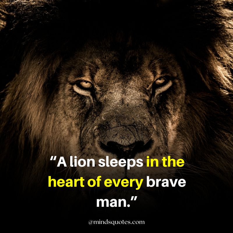 strong lion quotes