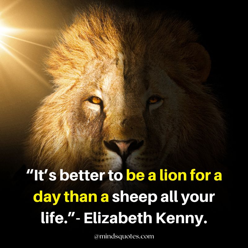 warrior lion quotes