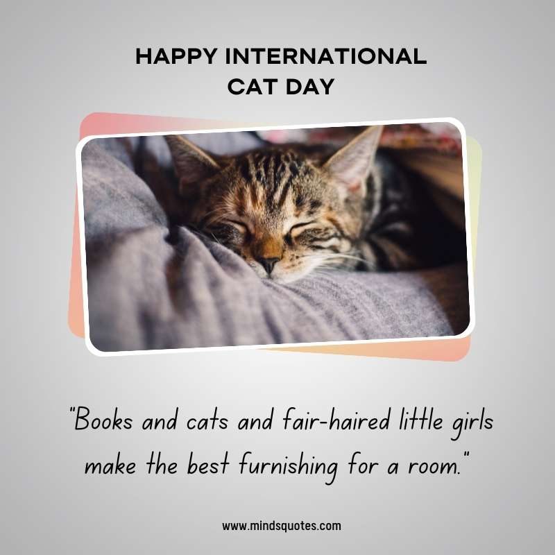 Happy International Cat Day Quotes