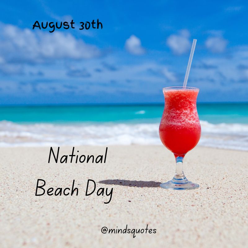 Happy National Beach Day 