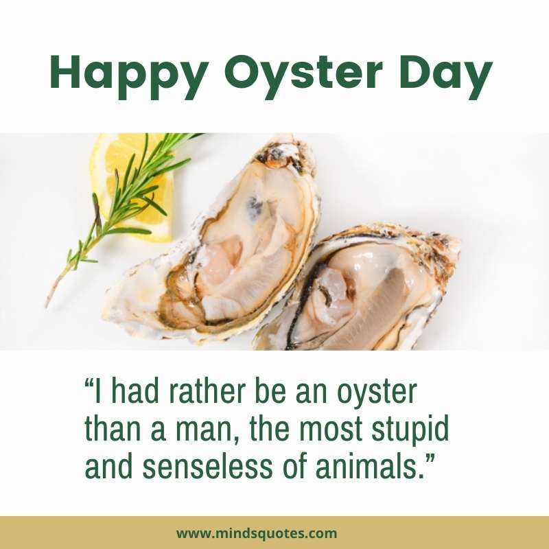 Happy Oyster Day Quotes