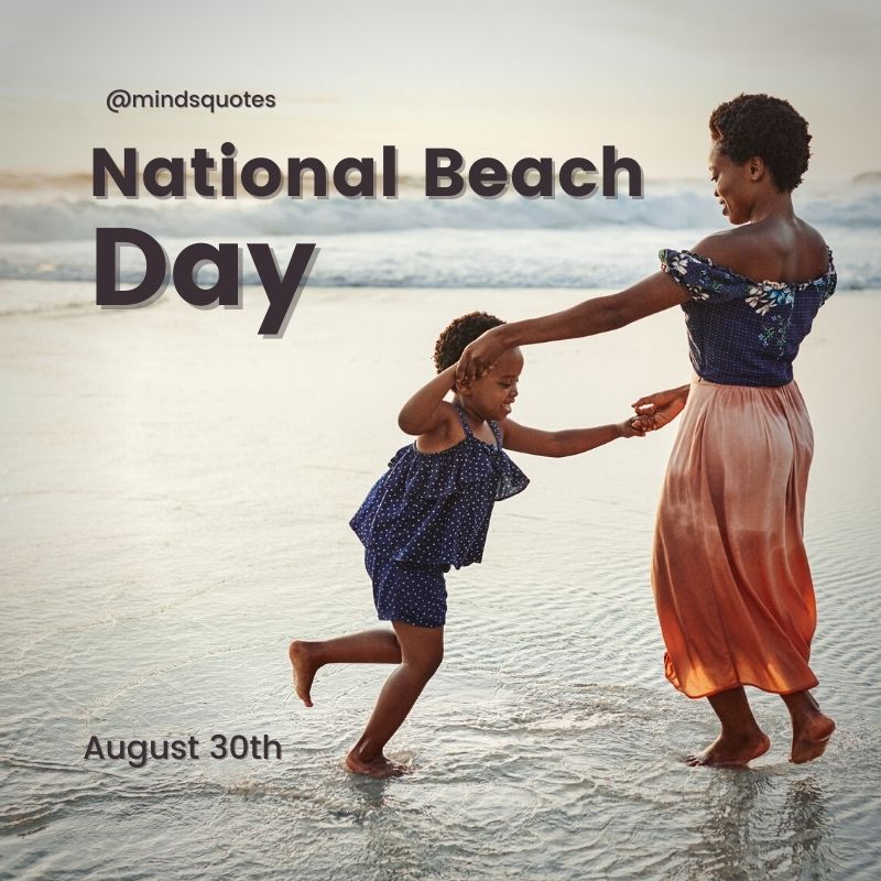 Happy National Beach Day Poster
