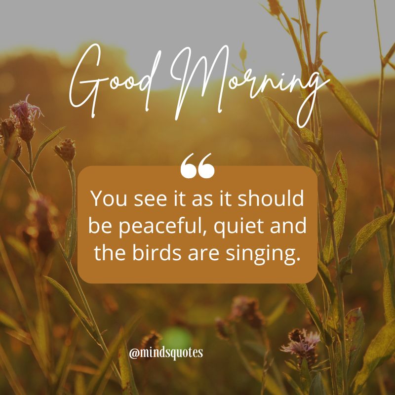  Beautiful Good Morning Quotes