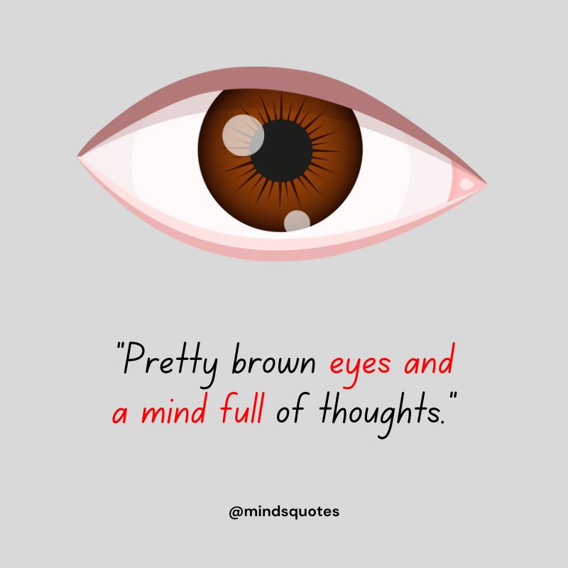 Brown Eyes Quotes Status