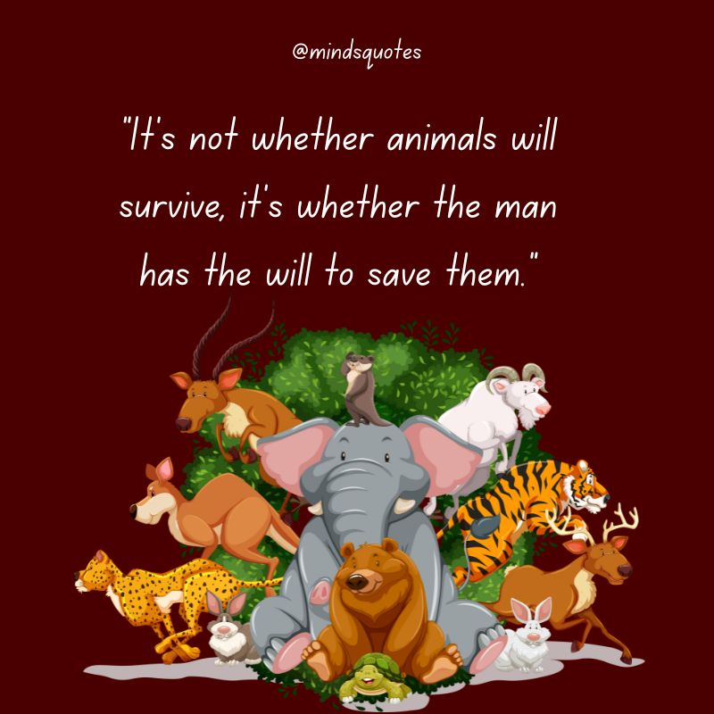 National Wildlife Day Quotes