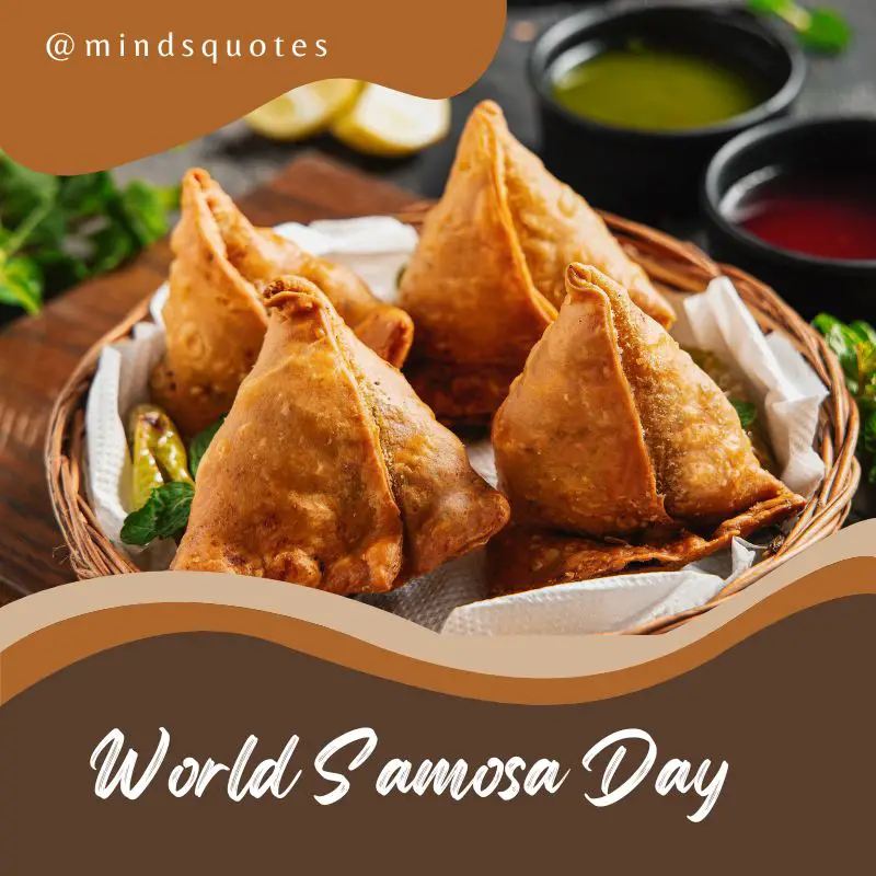 World Samosa Day 