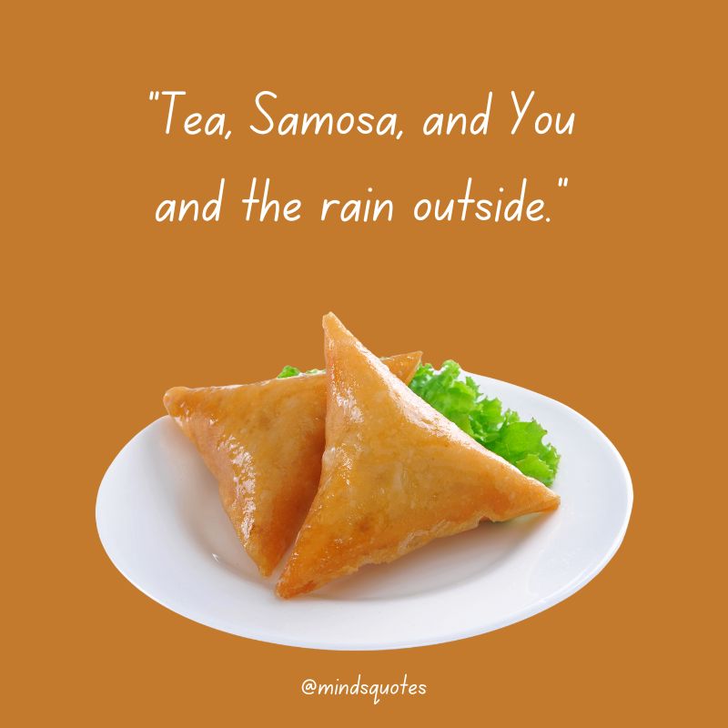 World Samosa Day Captions