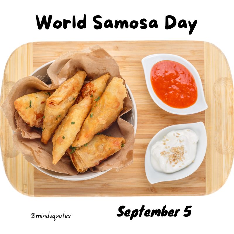 World Samosa Day Posters