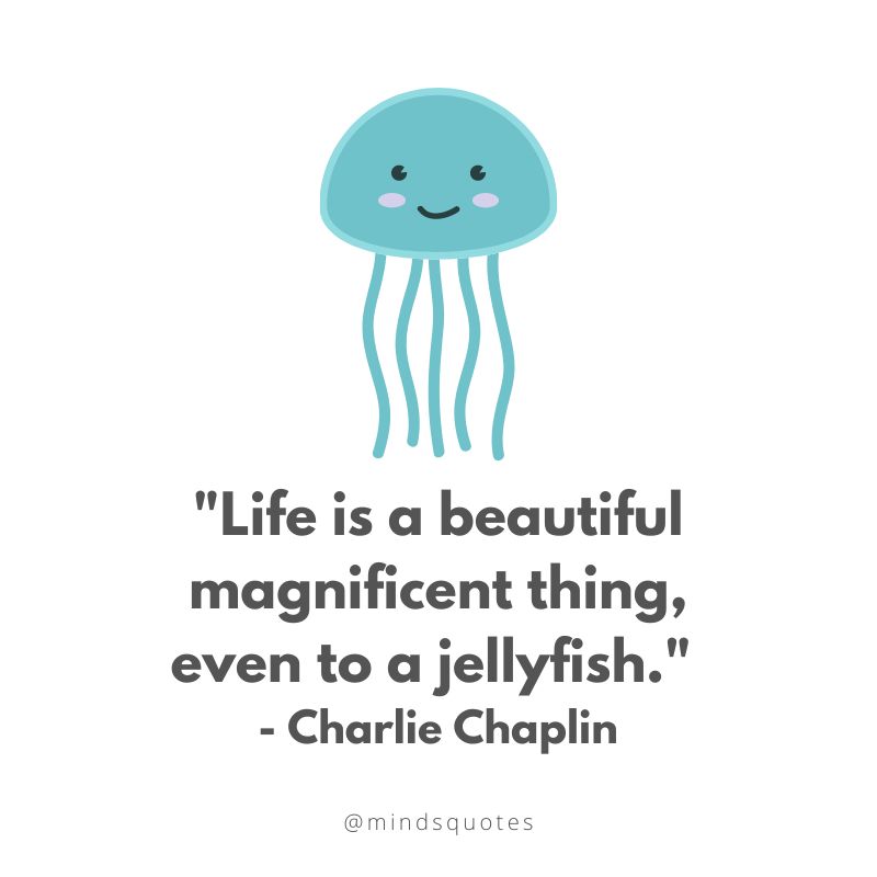 World Jellyfish Day Quotes