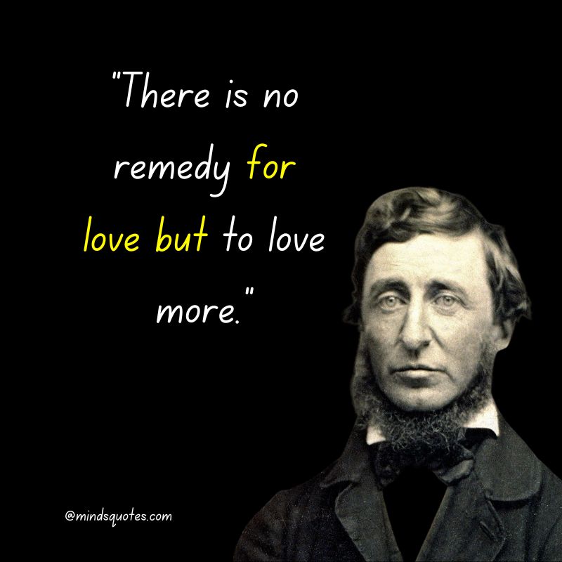 Famous henry David Thoreau quotes