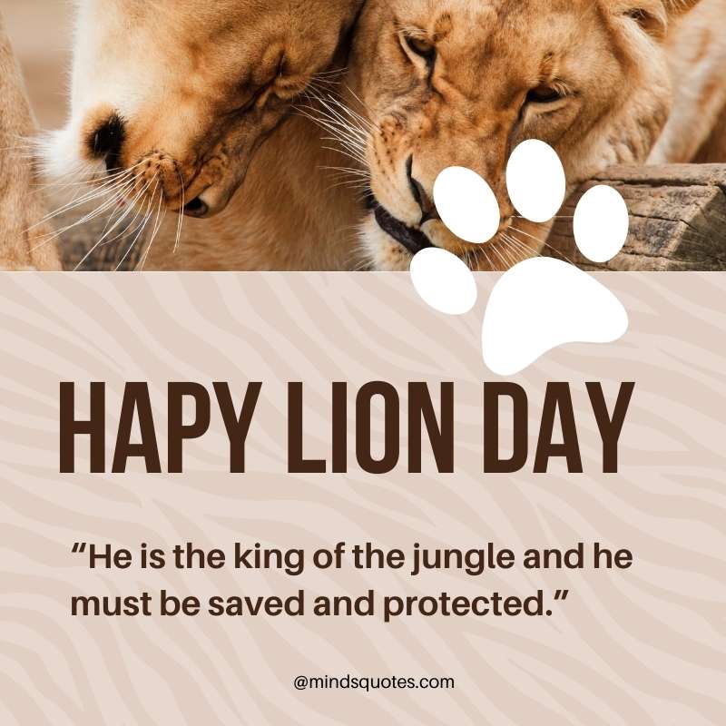 Happy Lion Day Slogan Quotes