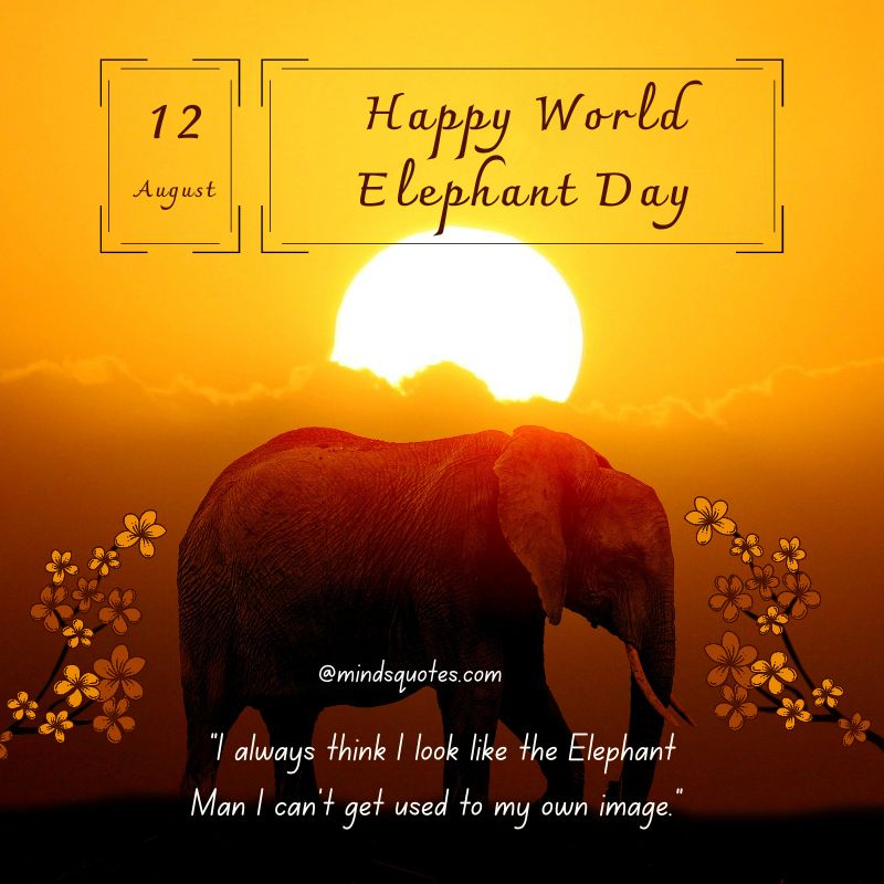 Happy World Elephant Day Wishes