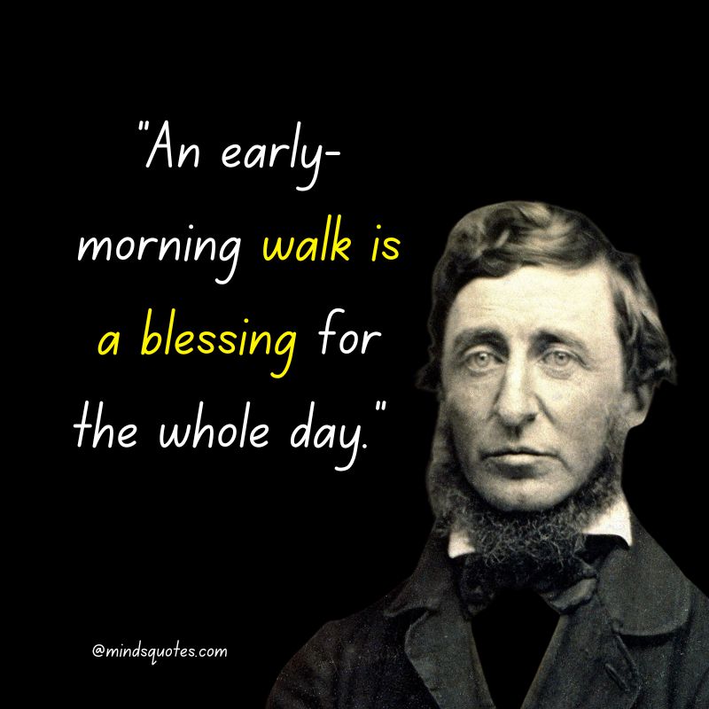 Henry David Thoreau quotes