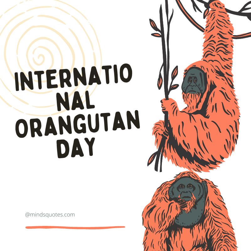 International Orangutan Day Poster