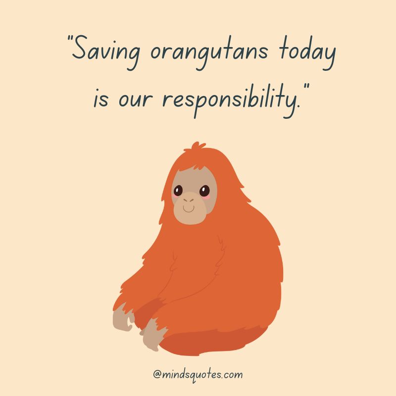 International Orangutan Day Slogans
