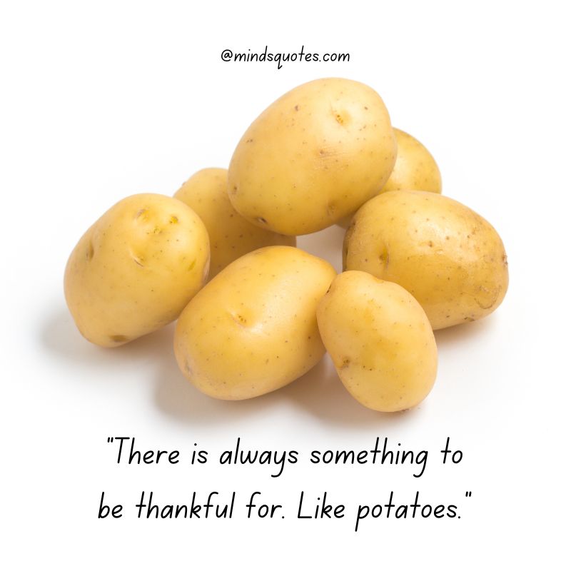 National Potato Day Wishes