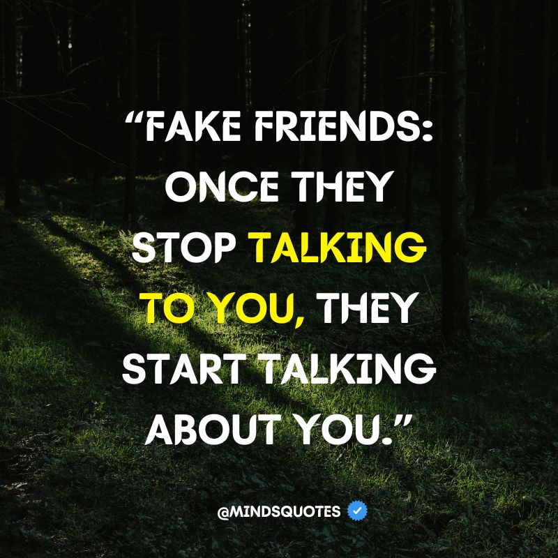 funny fake friends quotes
