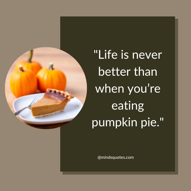 Nation Pumpkin Pie Day Messages