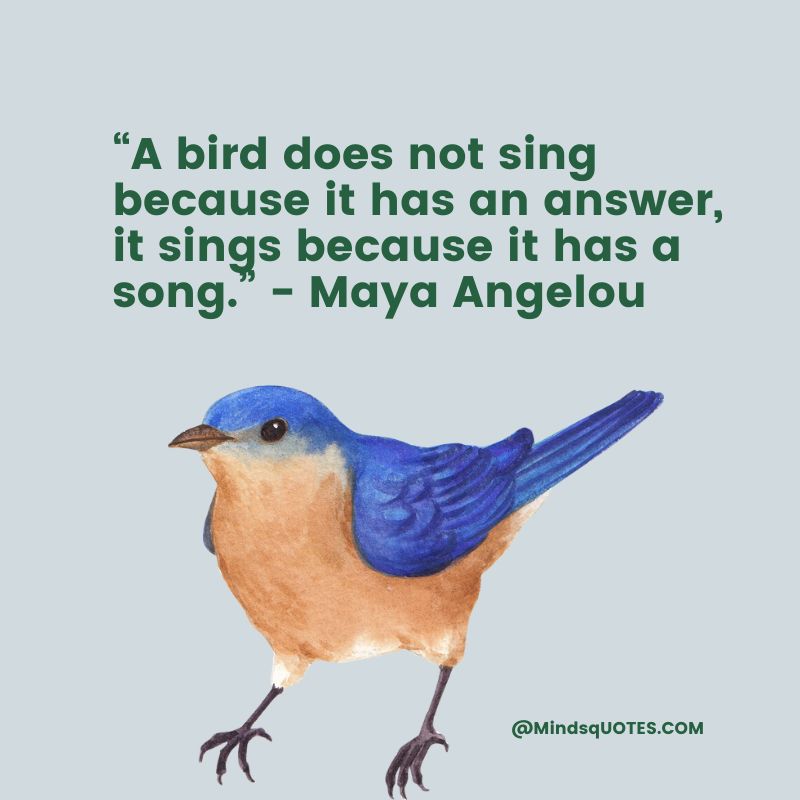 National Bird Day Quotes