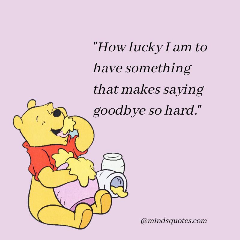 Winnie The Pooh Quotes Goodbye