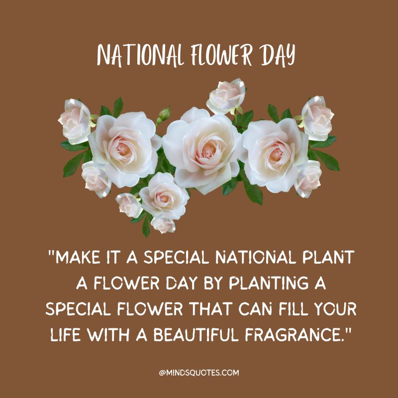 National Flower Day Messages 