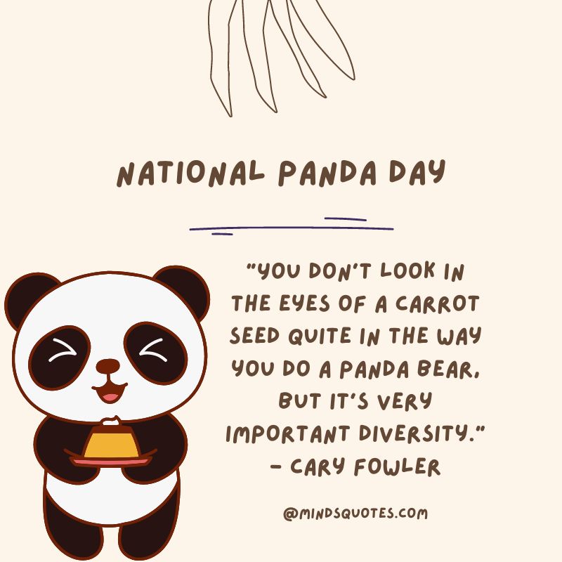 National Panda Day Quotes
