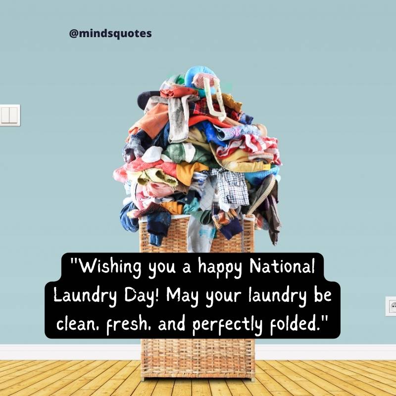 National Laundry Day Wishes
