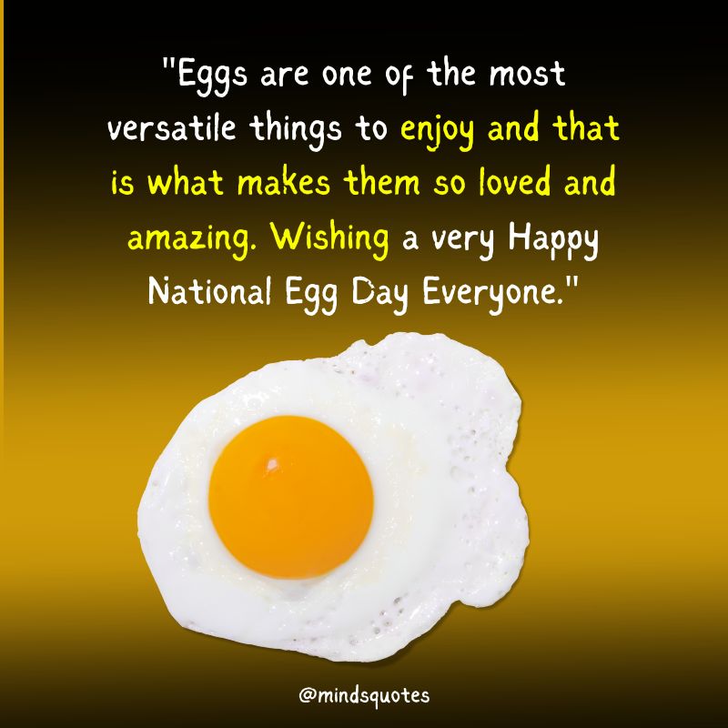 National Egg Day Wishes 